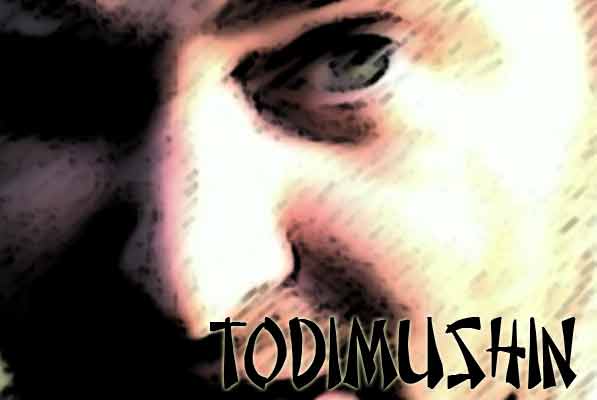 todimushin